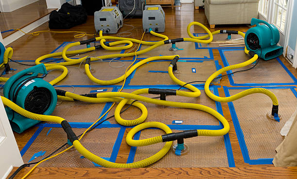 Professional Water Damage Repair technician working in Orange, TX